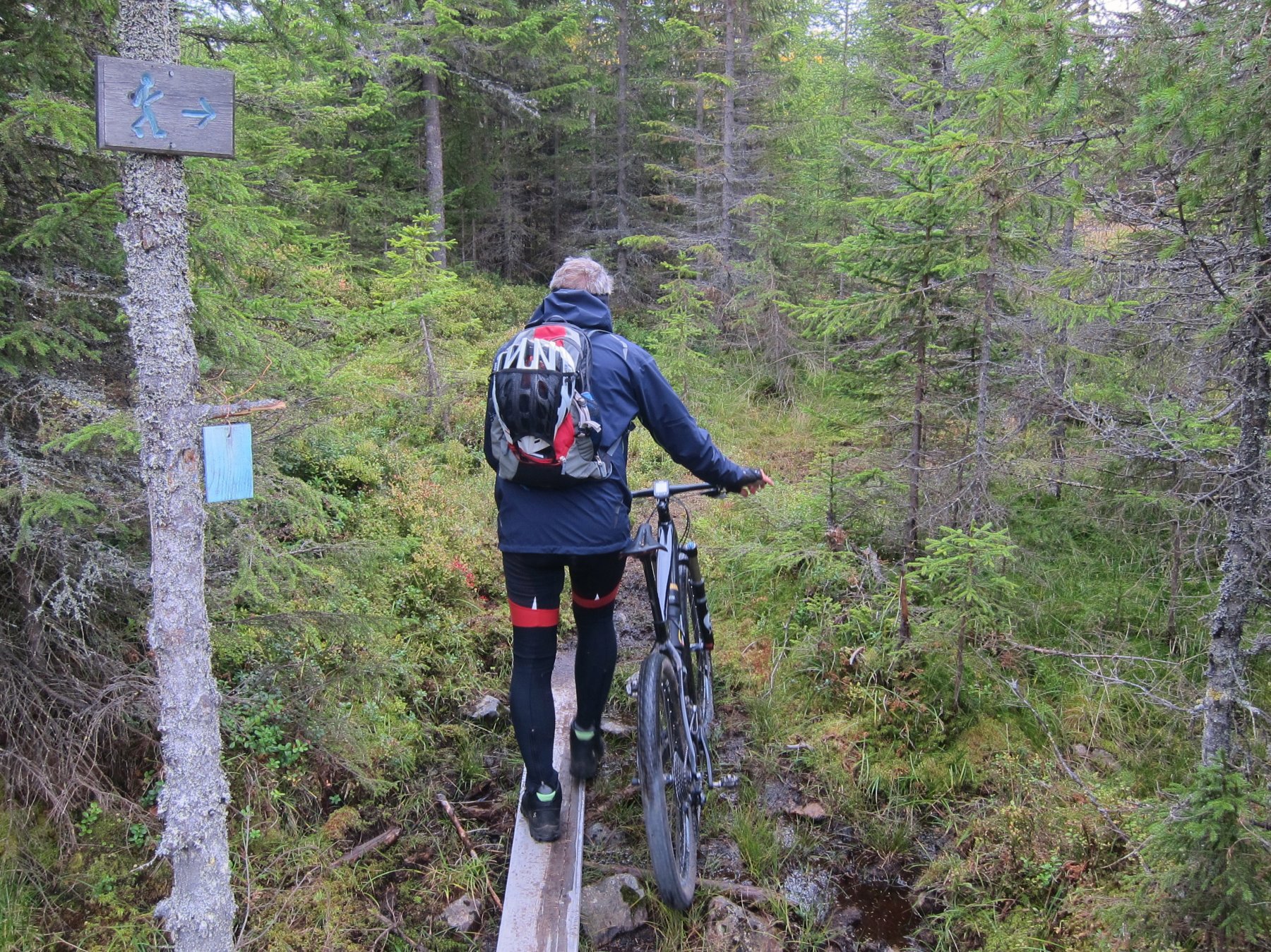 På sti mot Vindflosætra