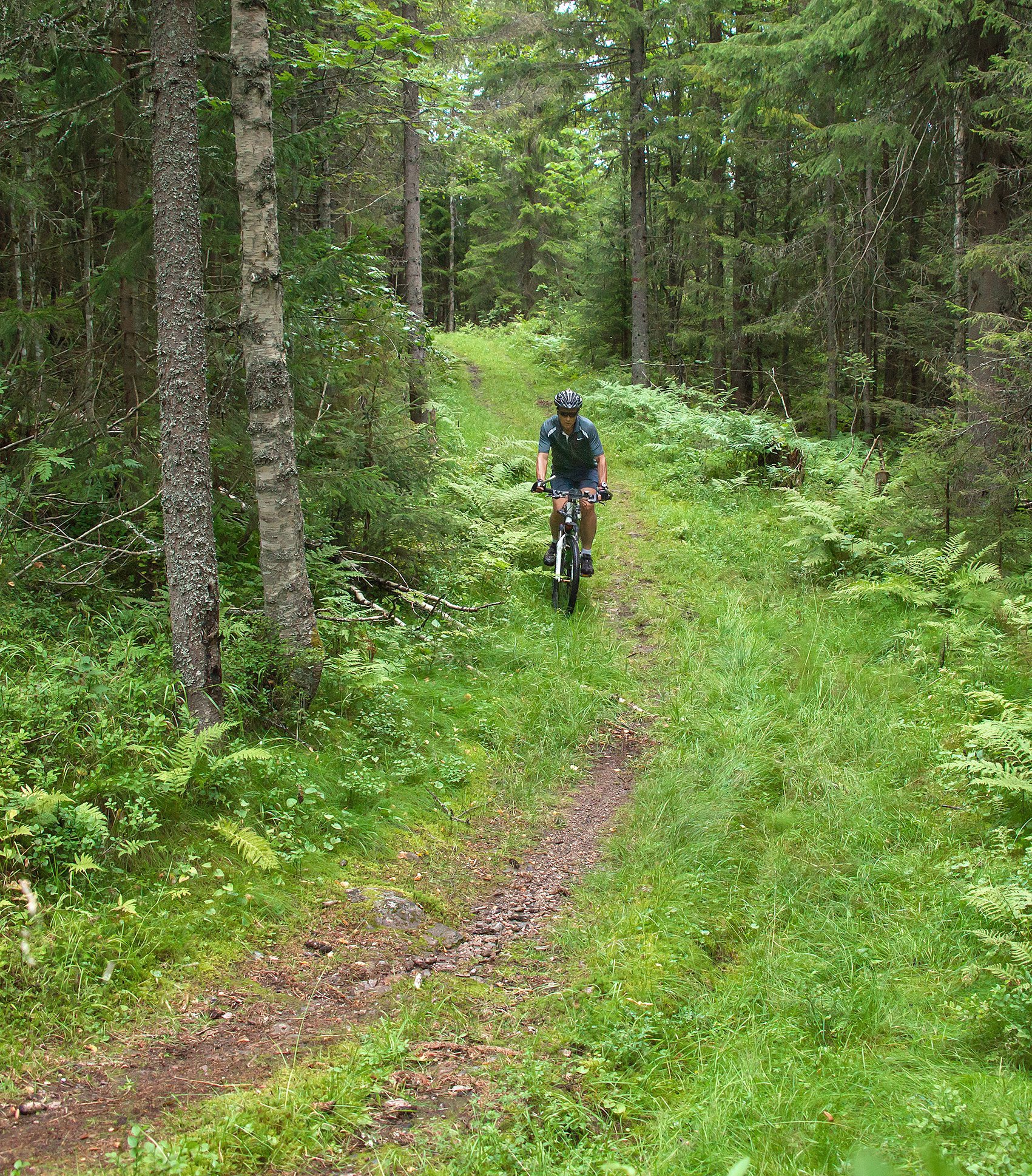På sykkel i løypetraseen