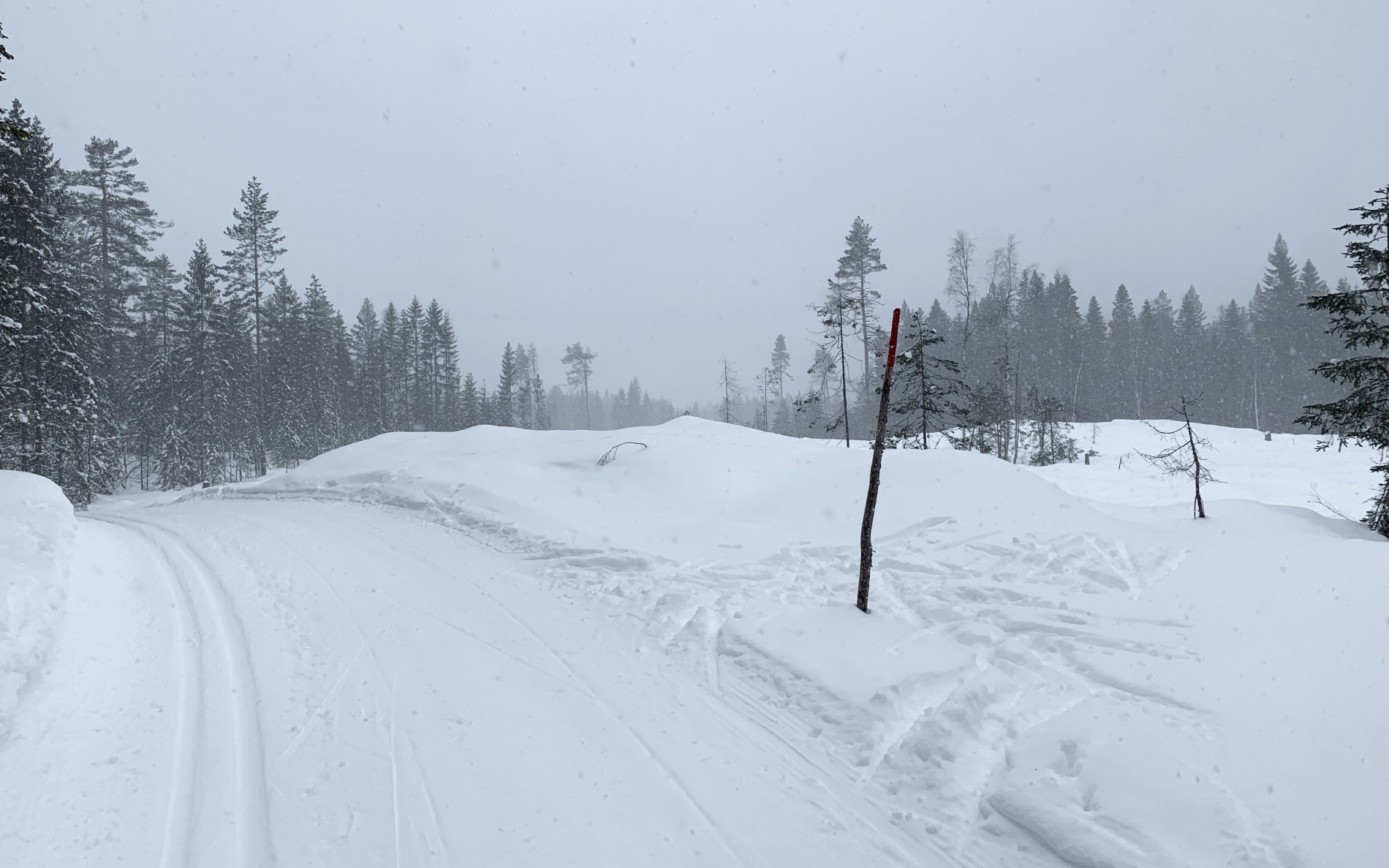 På toppen av bakken