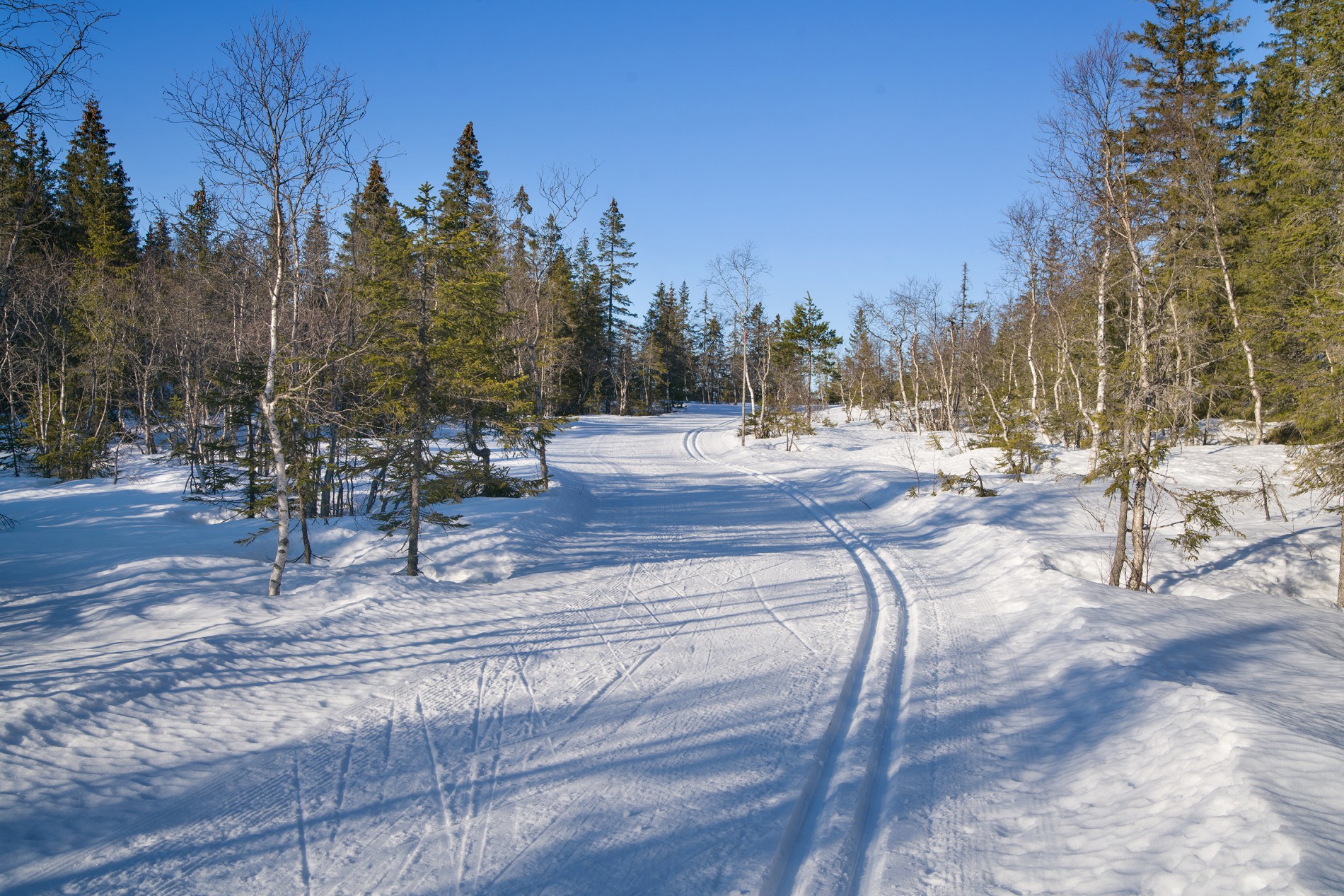 På toppen av Dæhlieløypa