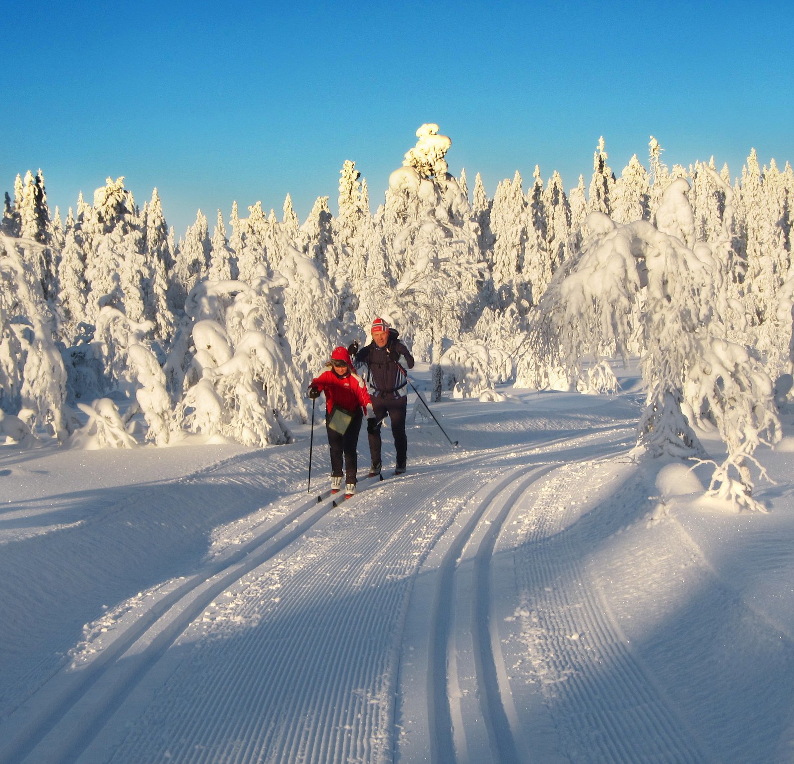 På tur i kalde spor