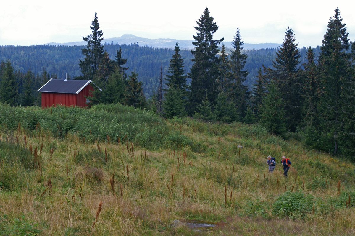 På tur til Nordsetra