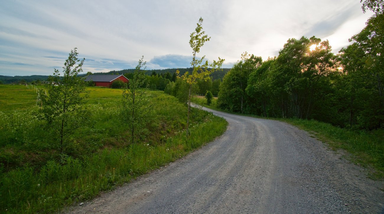 På vandring i Sørkedalen
