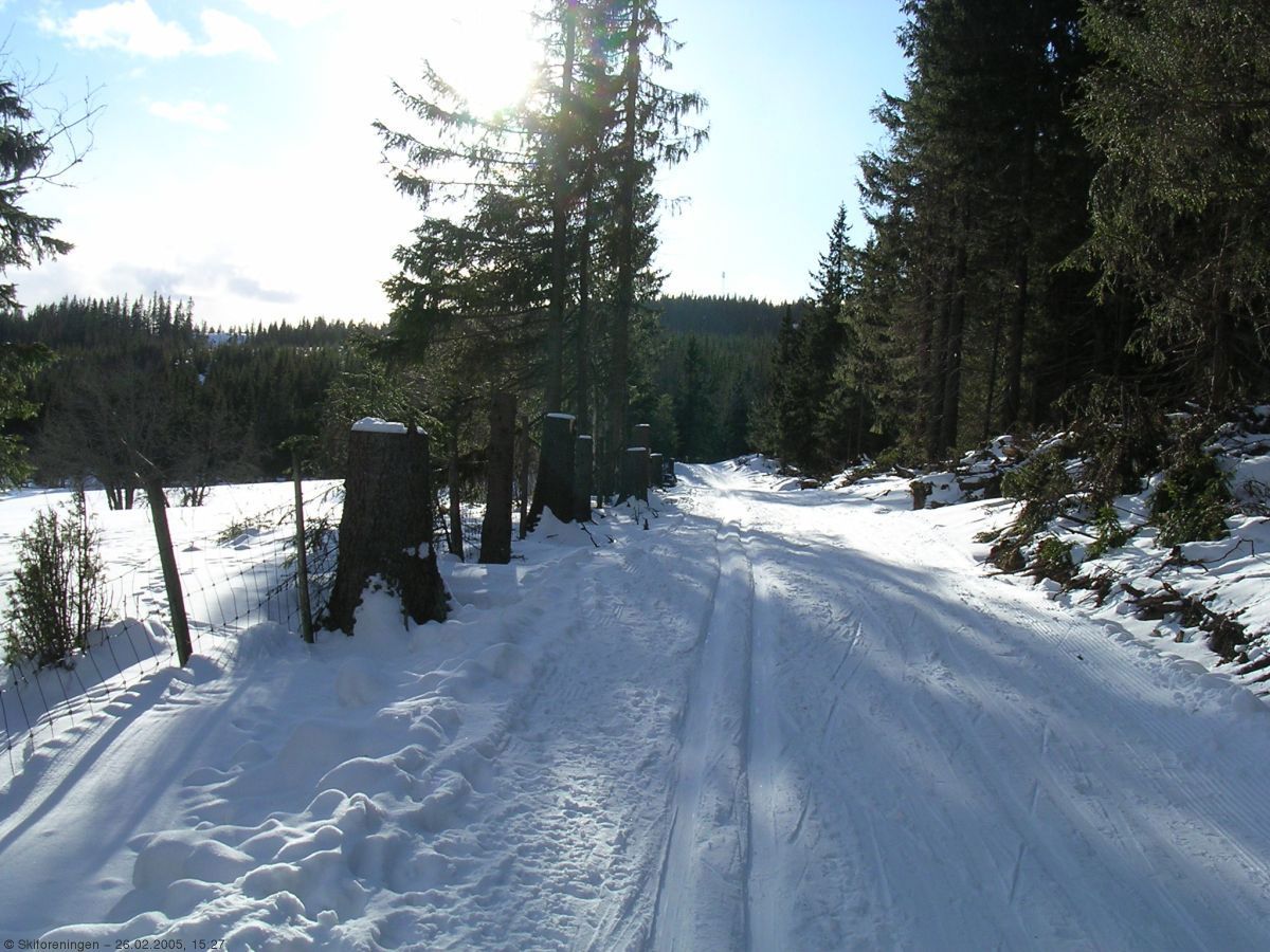 På vei mot Ballangrudsæterhøgda, 679 moh.