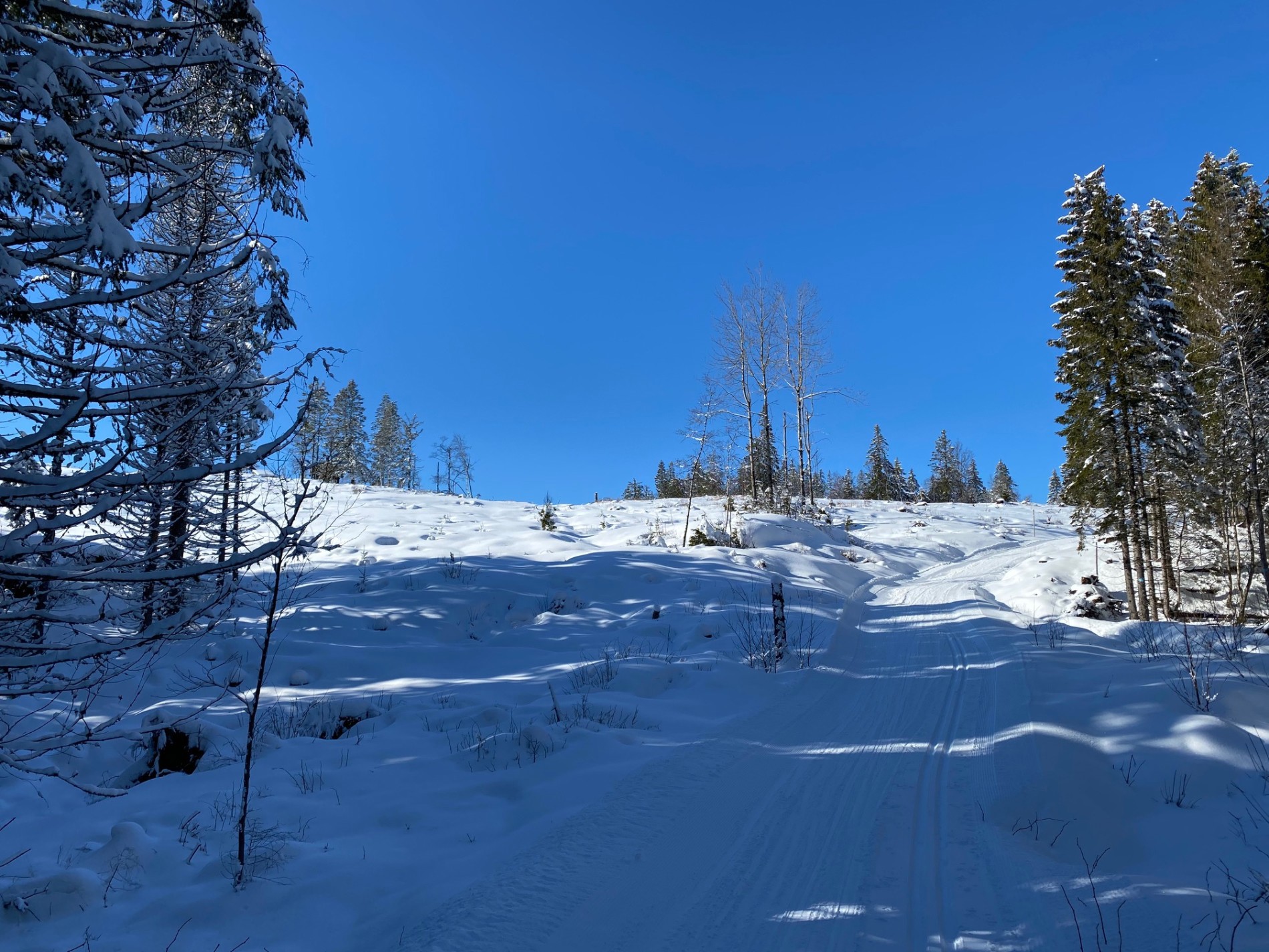 På vei mot Finneflakseter
