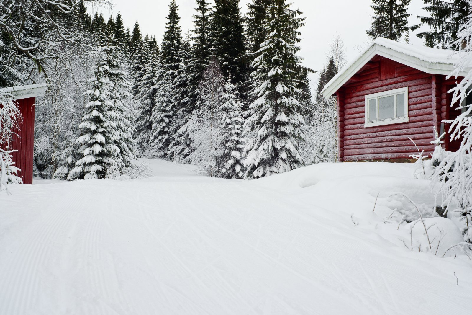 På vei mot Fjellseterbommen