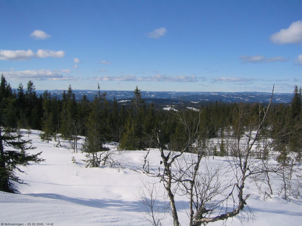 På vei mot Glåmhaugen