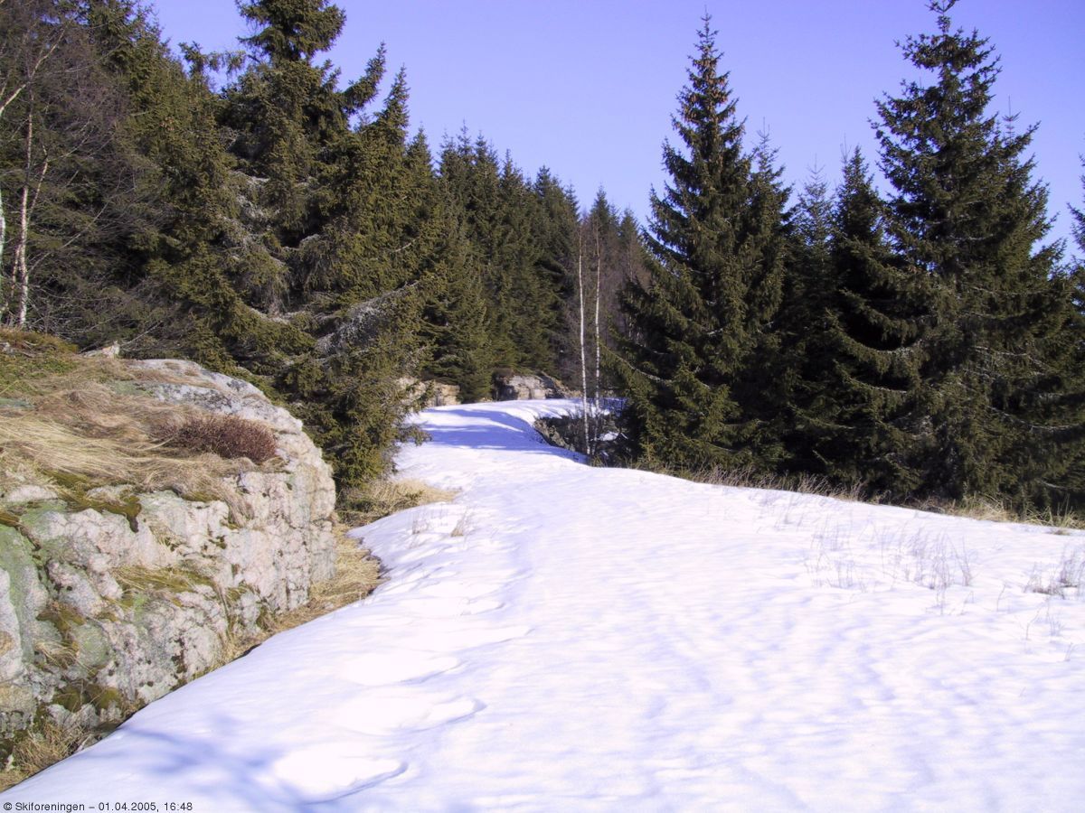 På vei mot Høgåsen