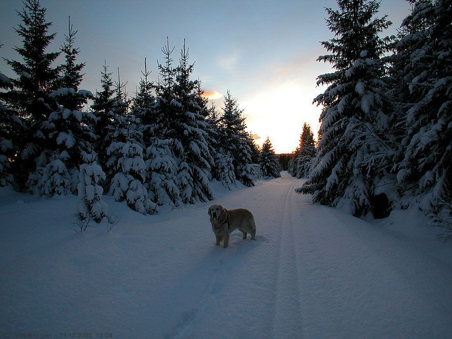 På vei mot Otertjern