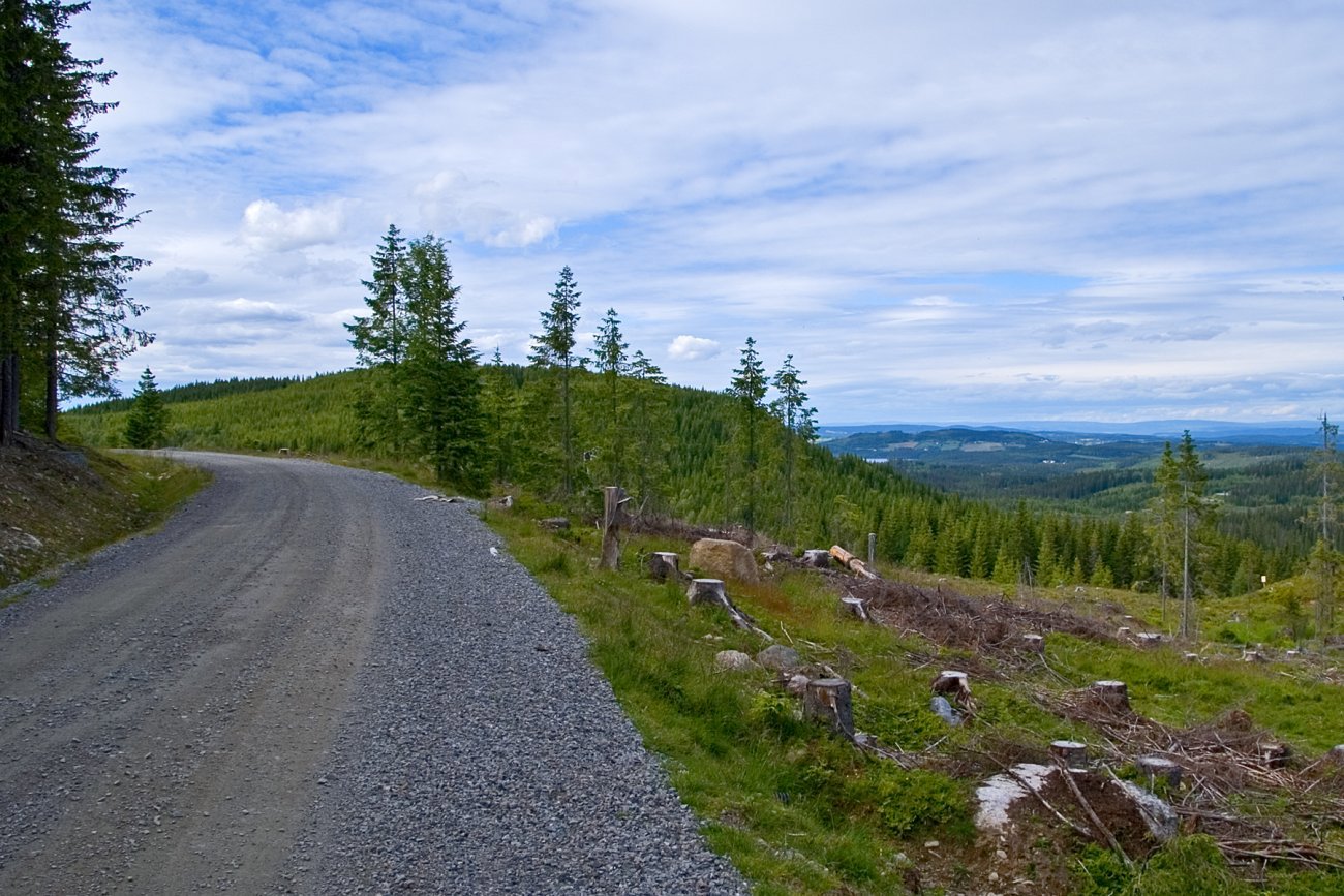 På vei mot Rørmyra