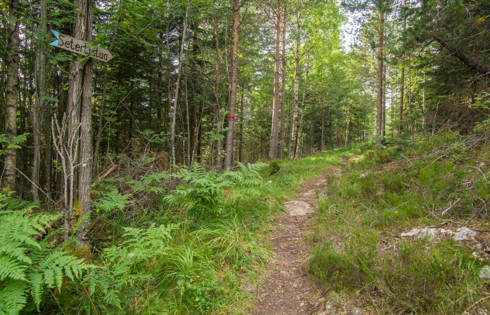 På vei mot Setertjernstua
