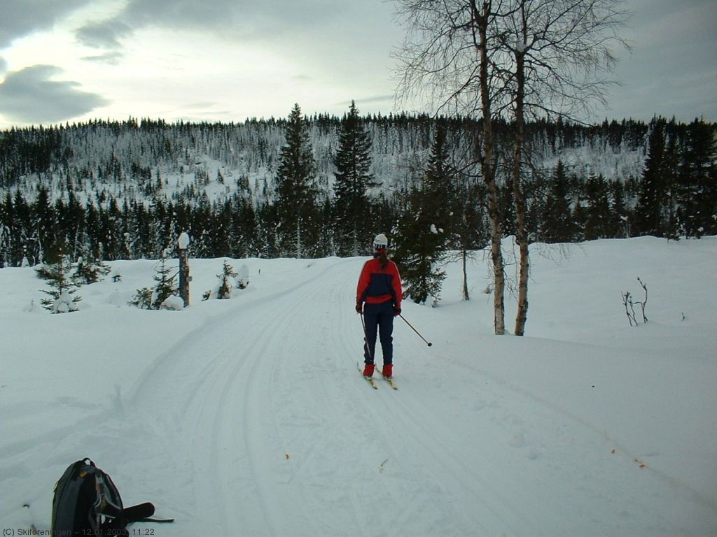 På vei mot Snøploghøgda