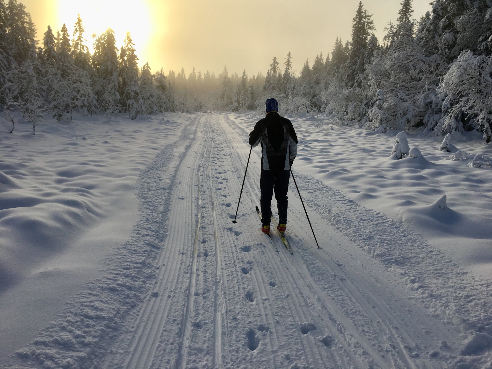 På vei mot Viksetra