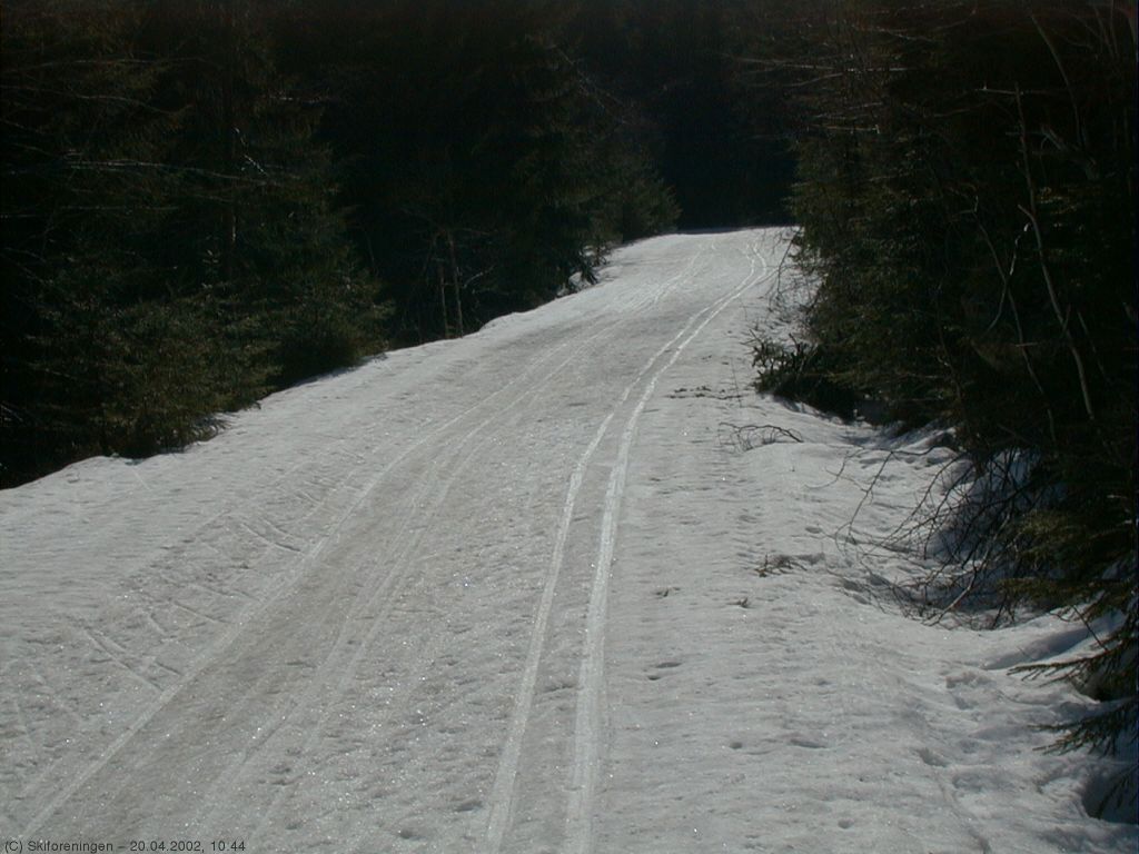 På vei opp Dammyrdalen på aprilføre