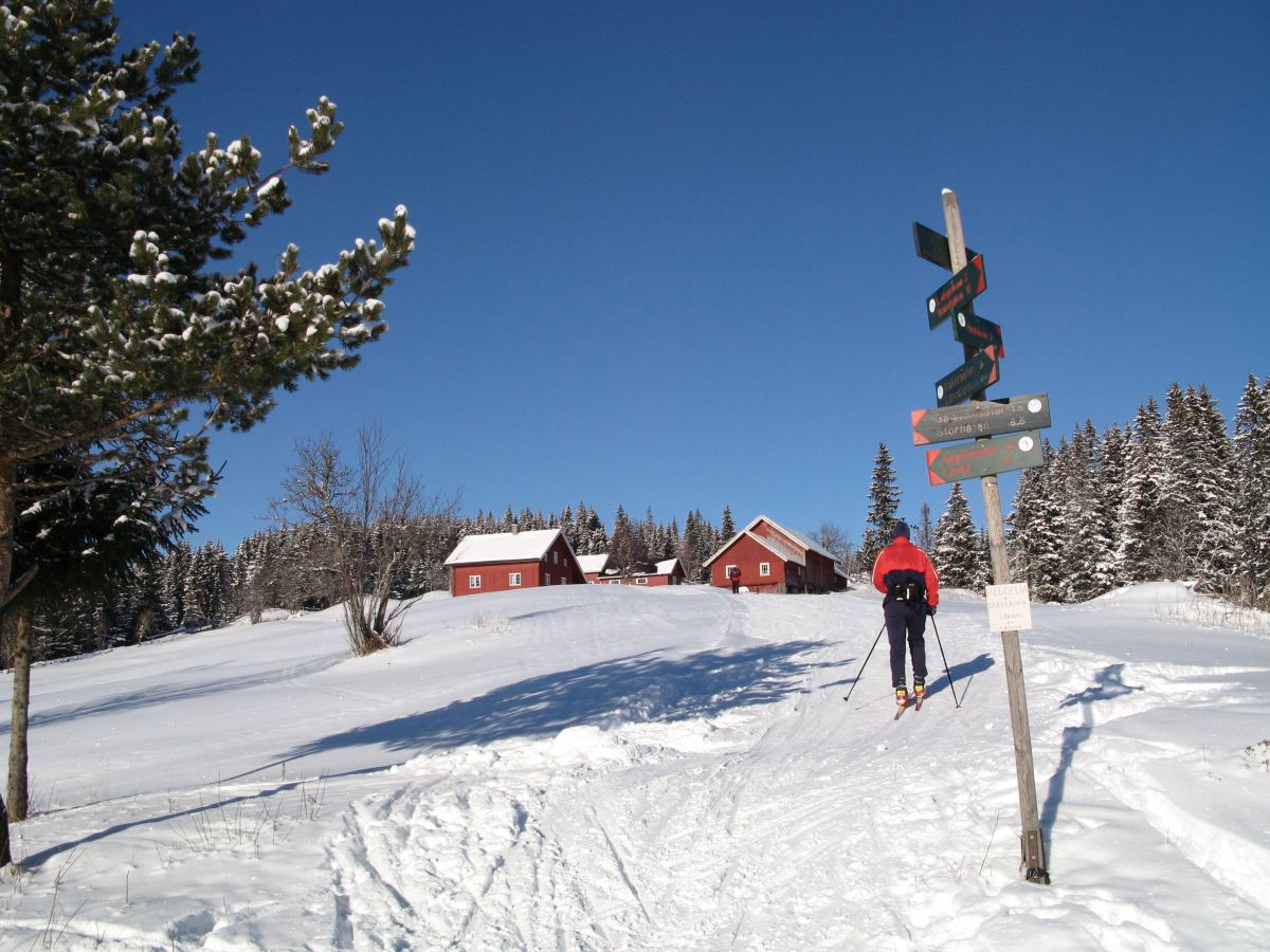 På vei til Heggelia