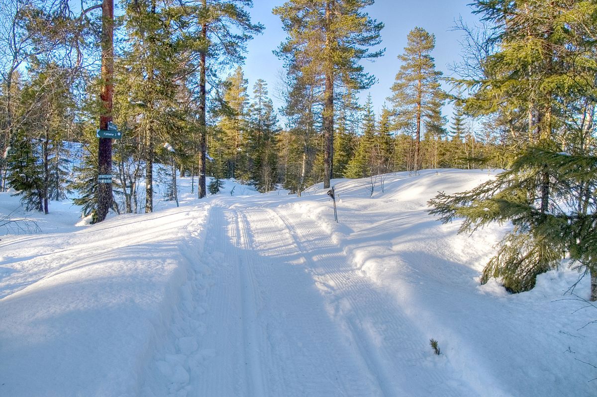 På vei til Ingjerdsbrenna