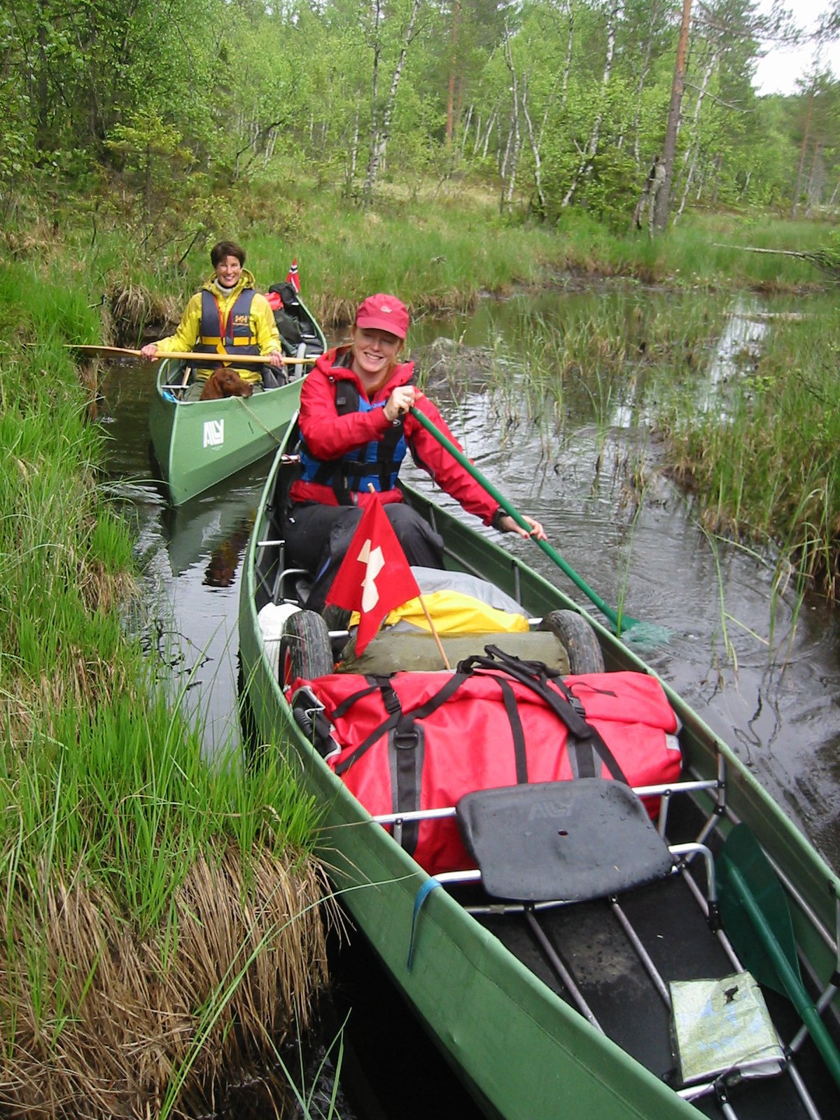 Padling på nesten gjengrodd kanal.