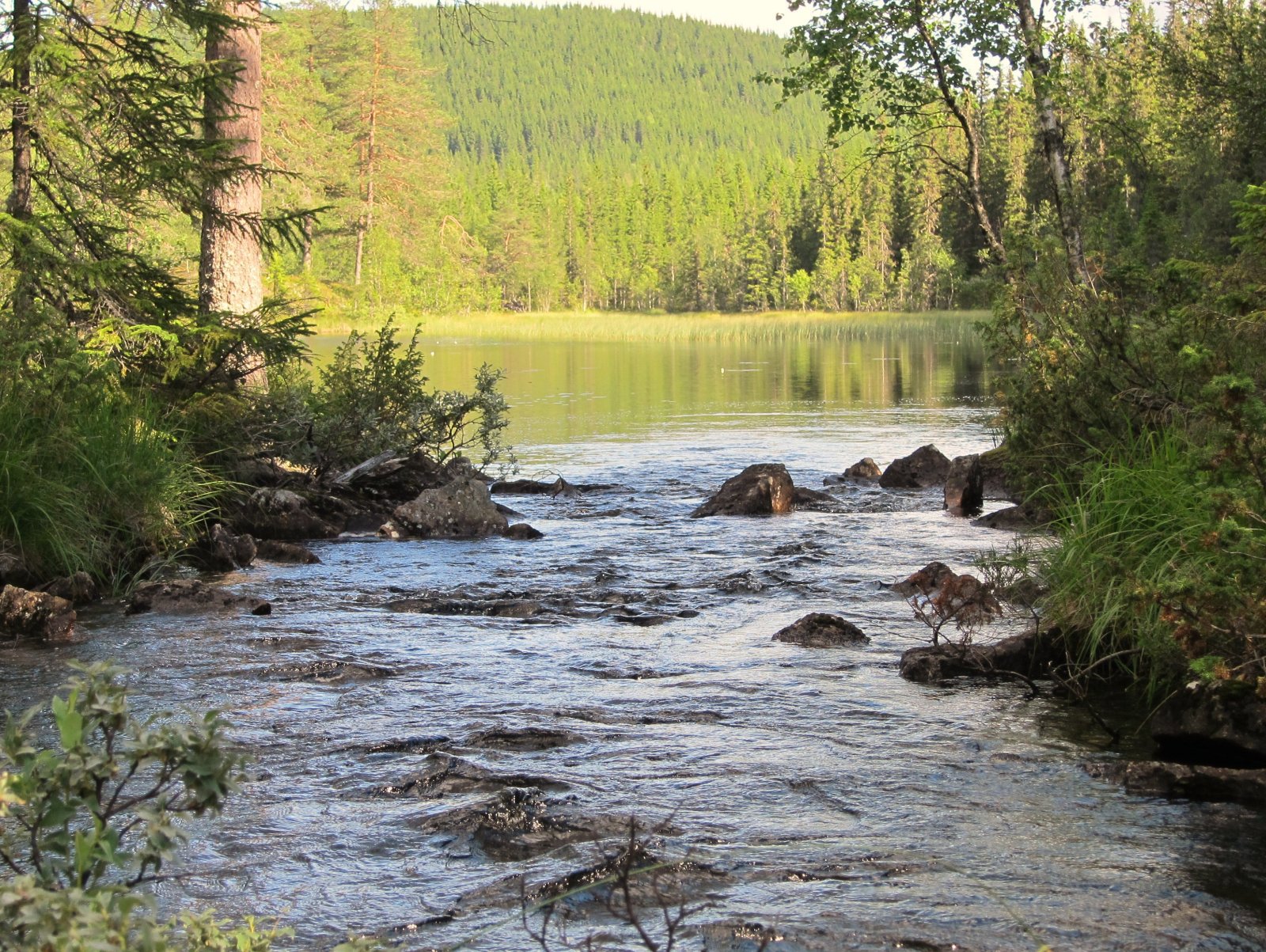 Påfyll i Bjørtjenn