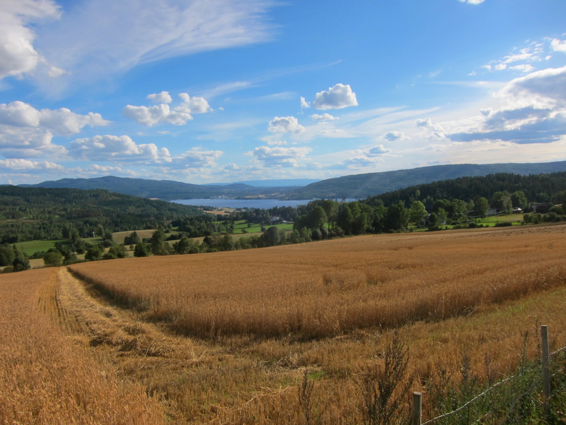 Panorama fra Sognsbygda