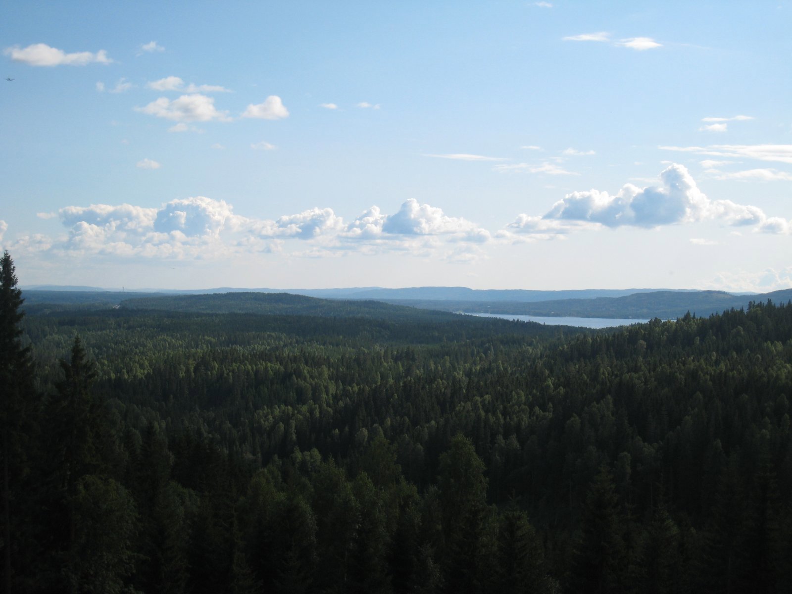 Panorama fra Spetalsvegen