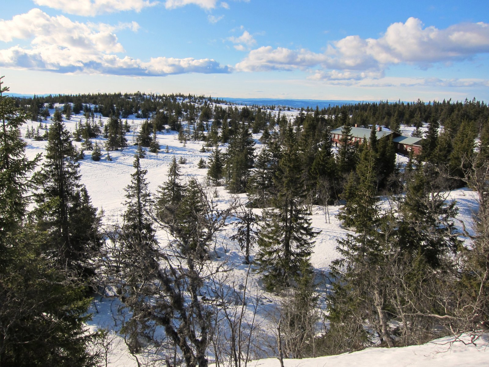 Panorama fra Torsæterkampen
