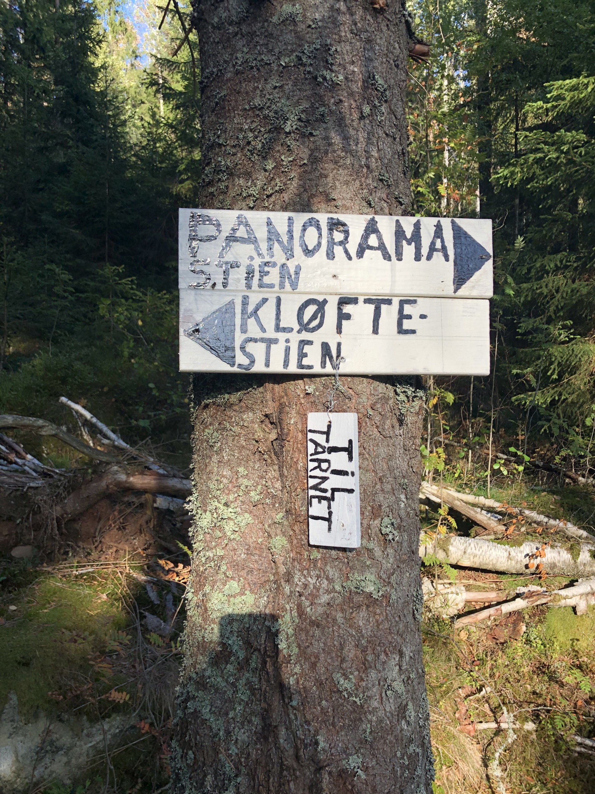 Panoramastien vs. Kløftestien