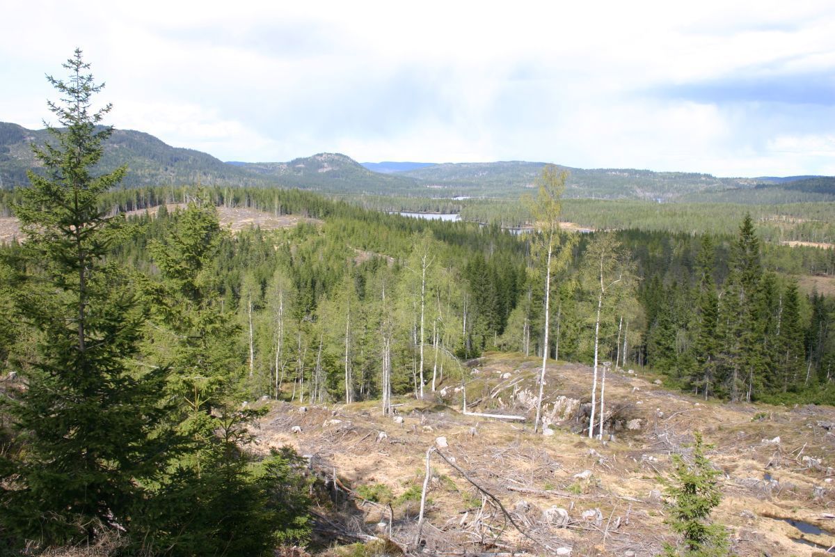 Panoramautsikt fra Glåmene