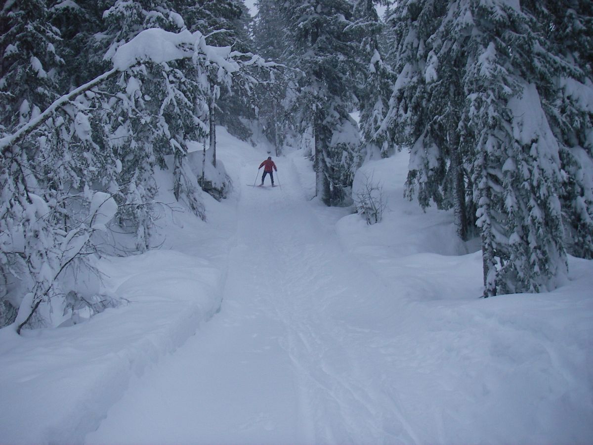 Parti fra Formoløypa fra Åssjøvika til Bilslingflaka