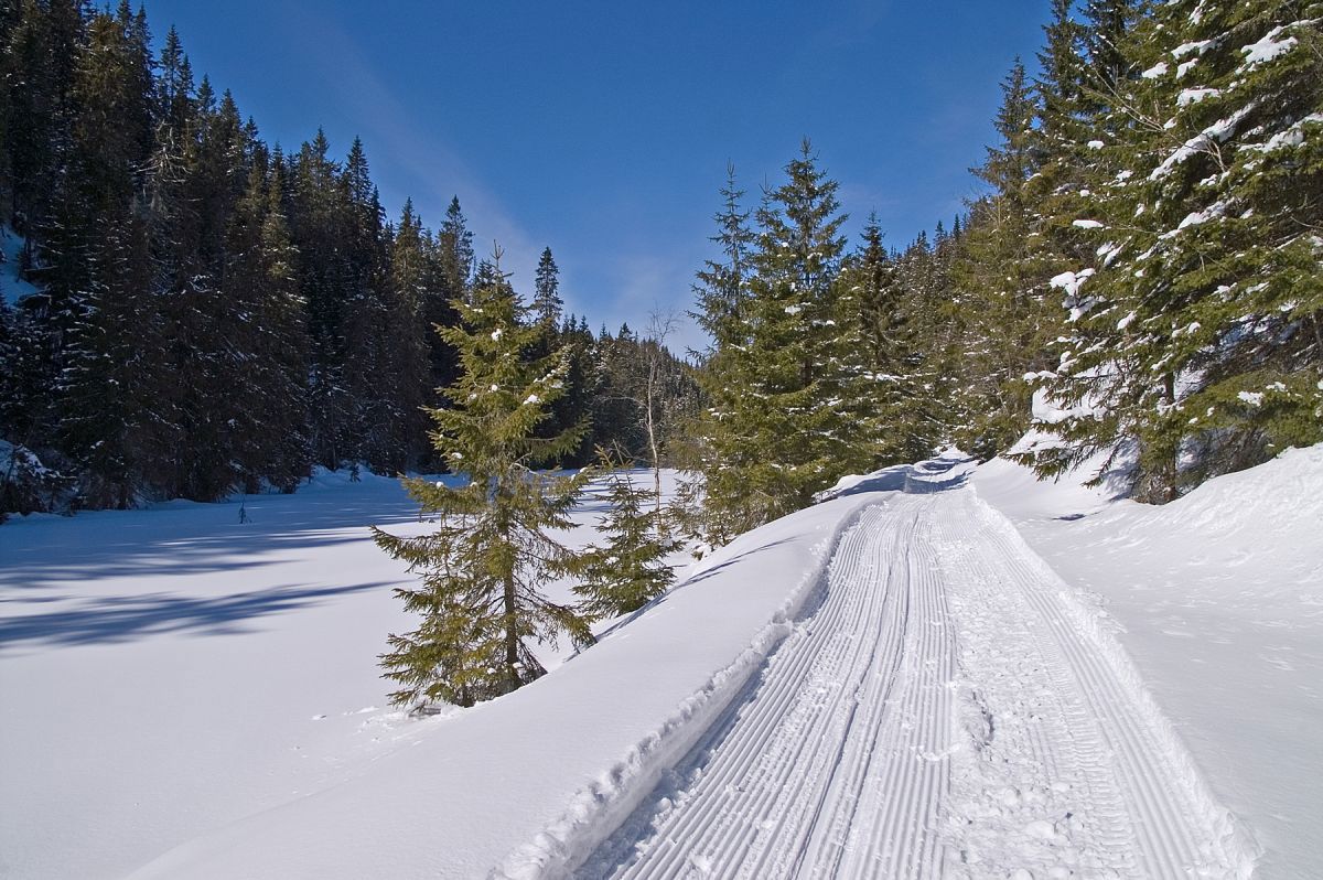 Parti fra scooterløypen mellom Spålen og Vesle Sandungen
