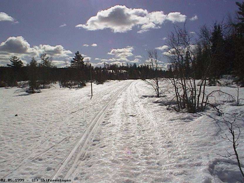 Parti fra Vambutjerna på Ringkollen