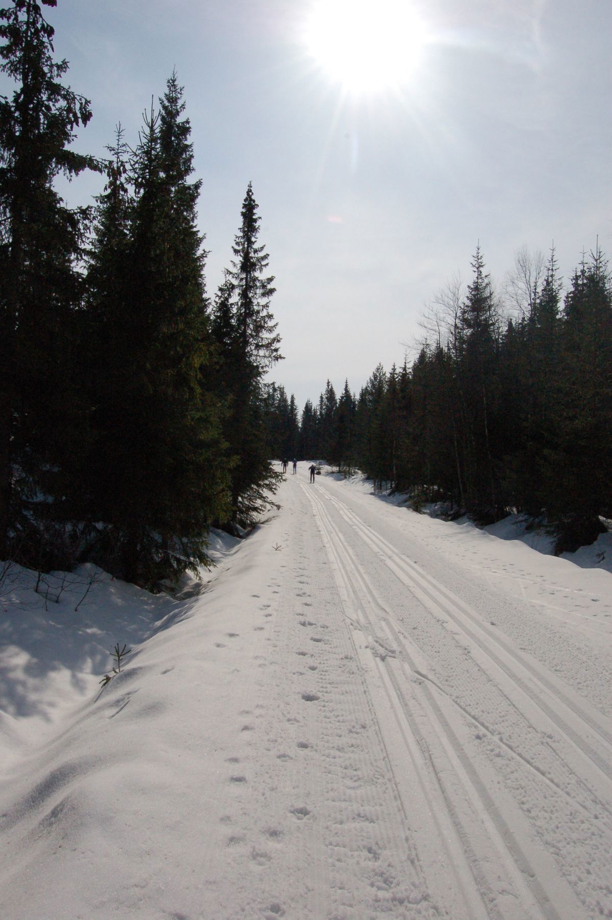 Påskeføre på Romeriksåsen