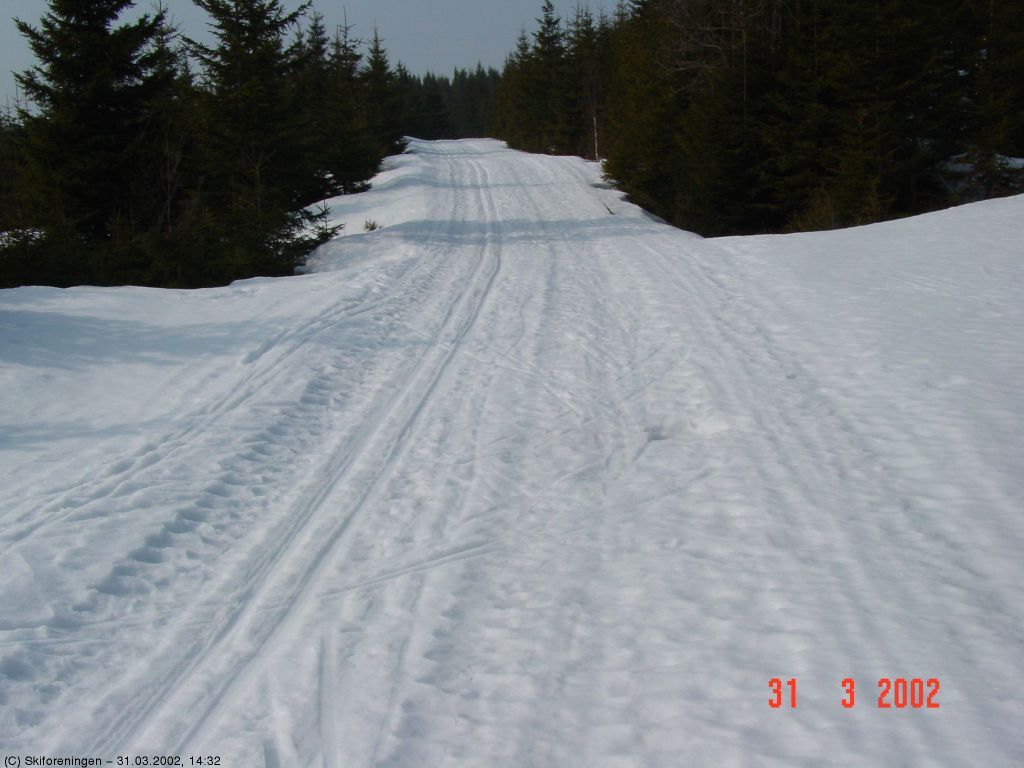 Påskespor i Dæhlie-løypa