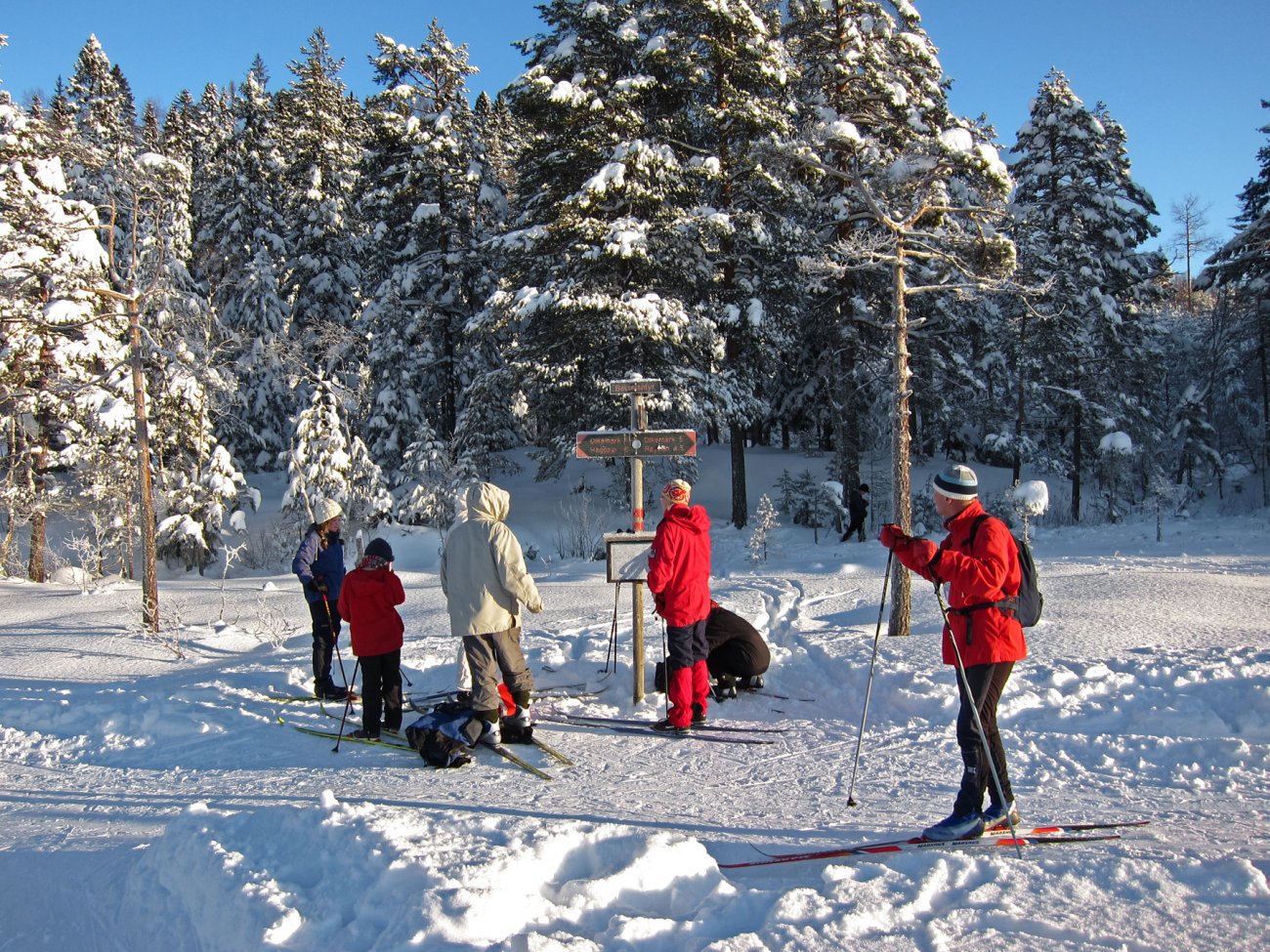 Pause på Bertelsmyr