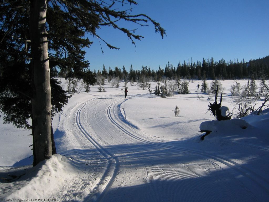 Perfekte spor mellom Lygna og Lushaugen