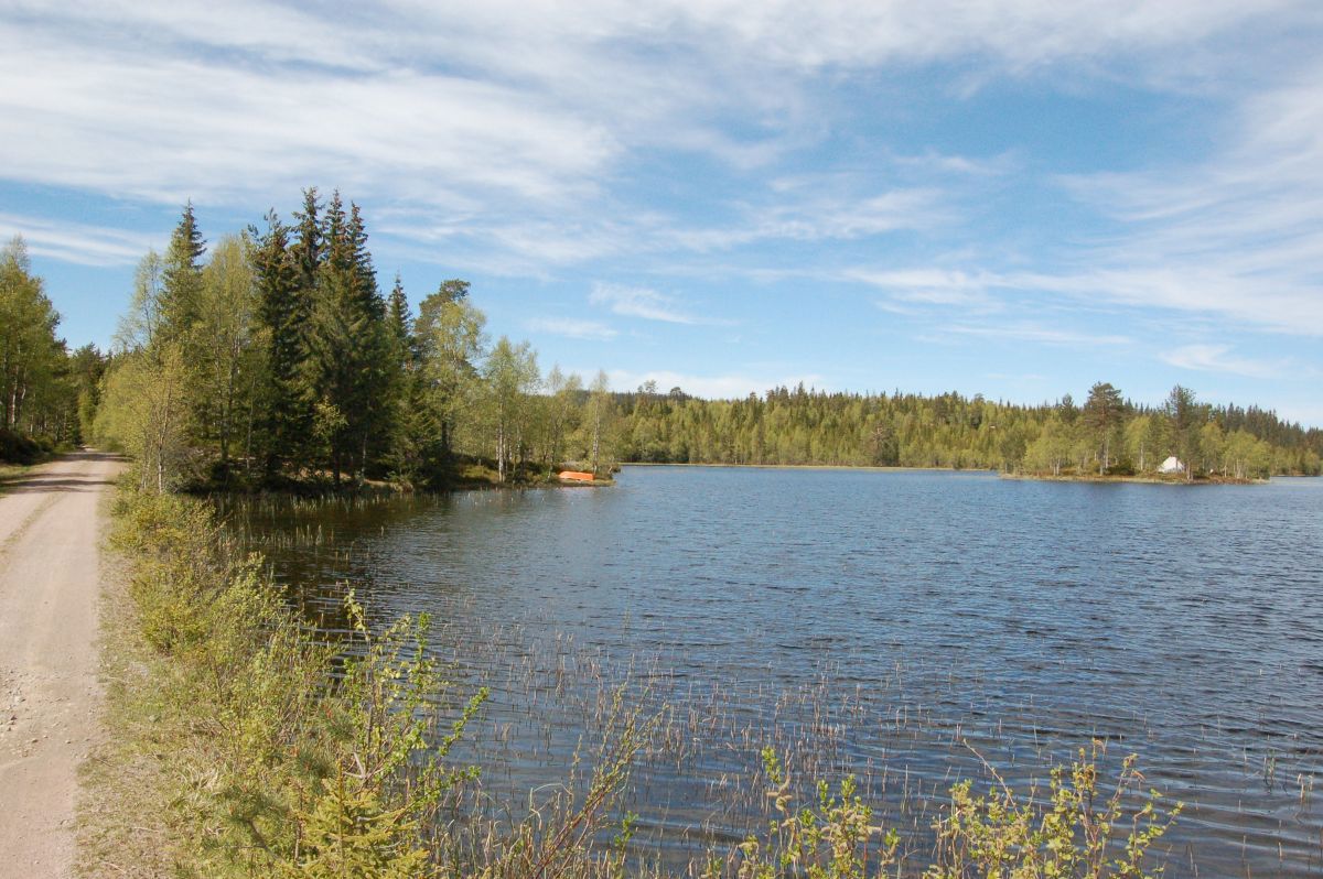 Pinsedag ved Korsvatnet