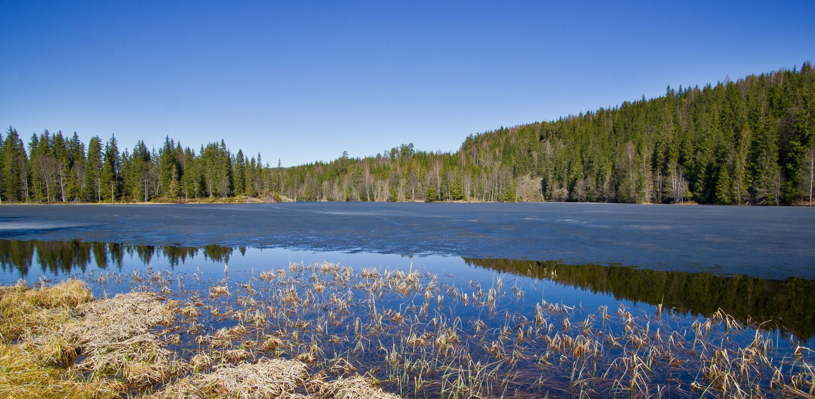 Plassedammen snart isfri