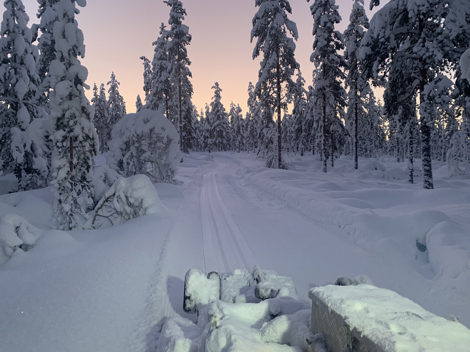 Prepping ved Nordre Skjervemoen