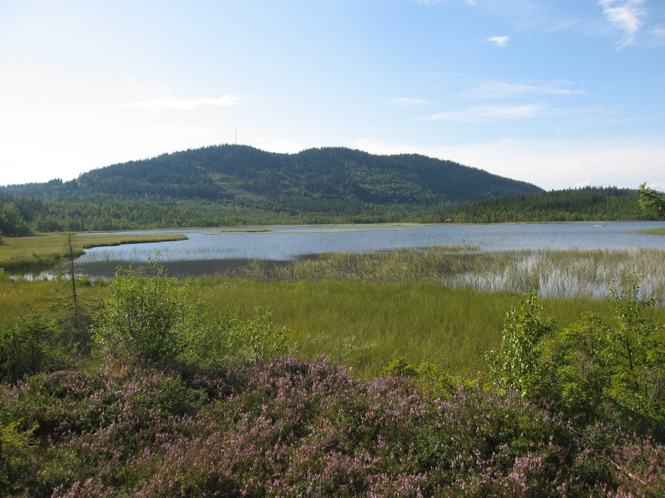 Randsjøen i sommersol