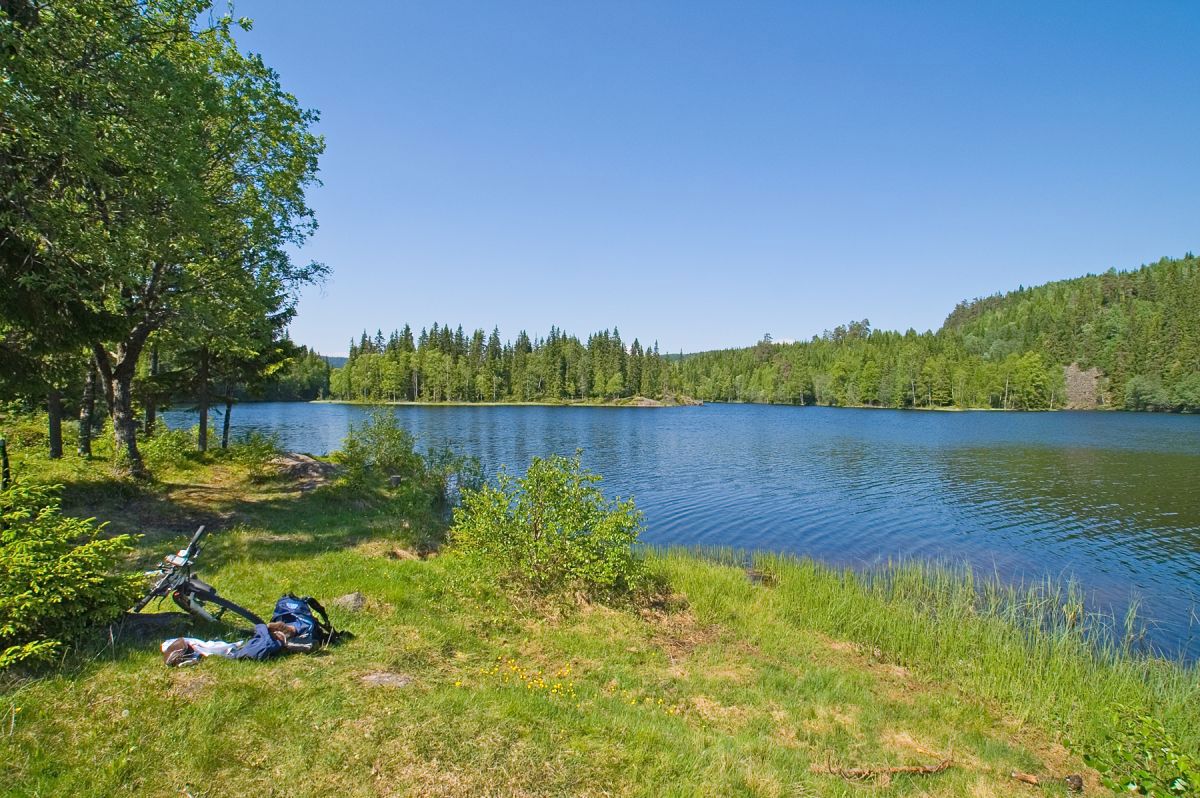 Rast ved Plassedammen