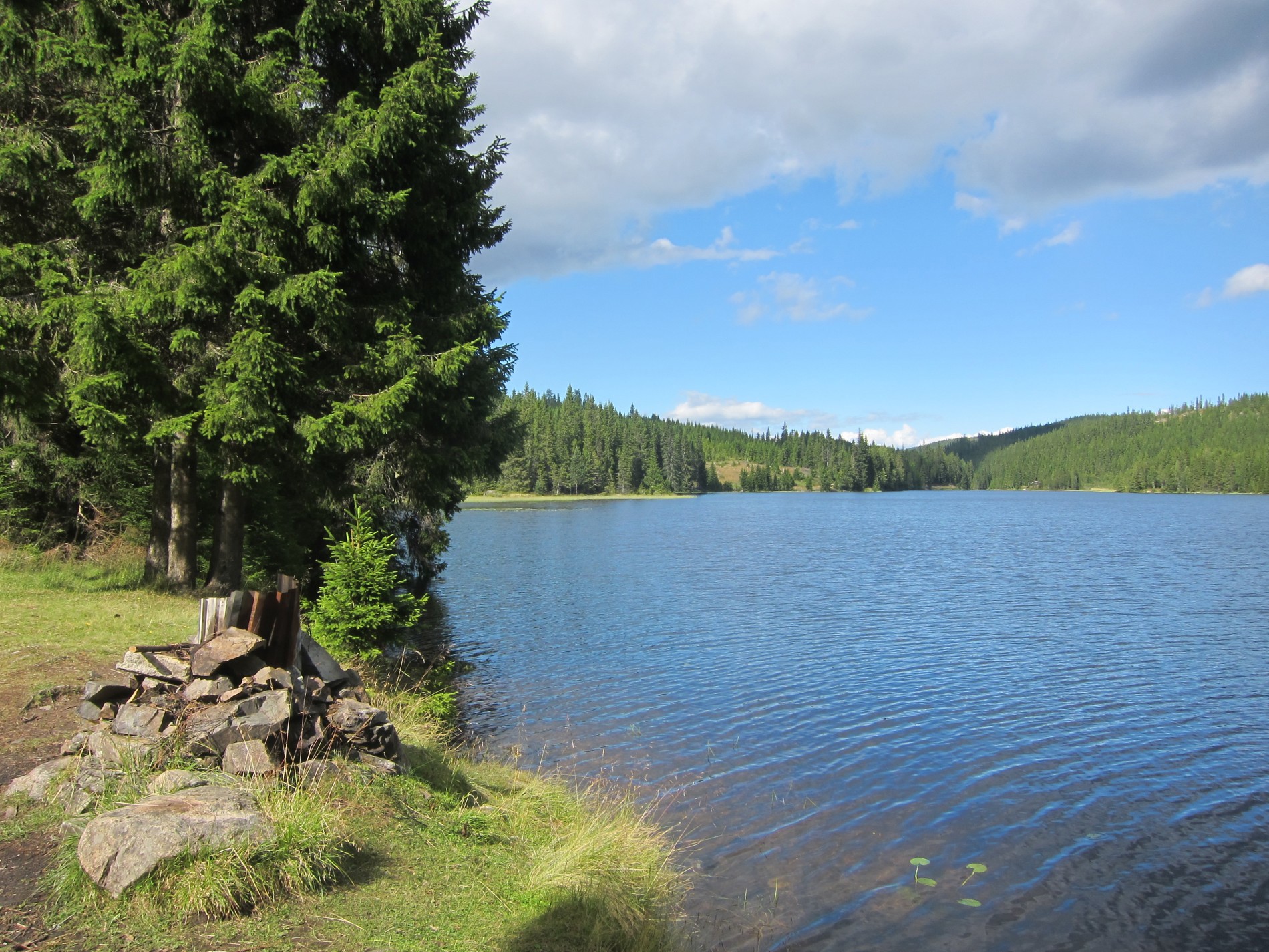 Rastemulighet ved Langtjennet
