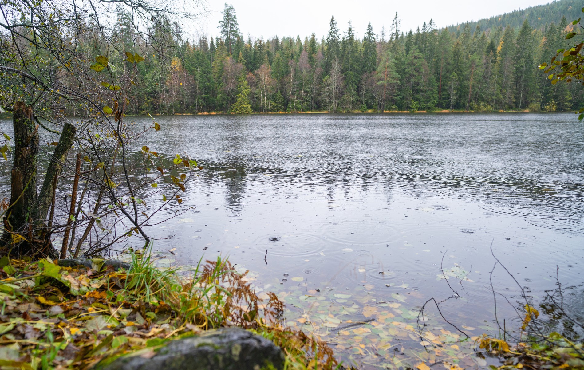 Regn, regn og regn ved Steinstjern