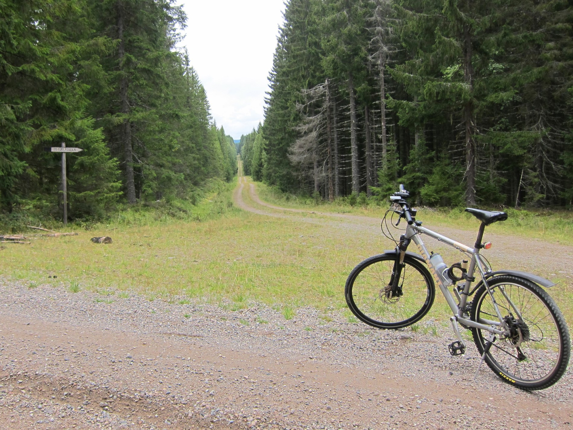 Rett fram i Fuglåsvegen