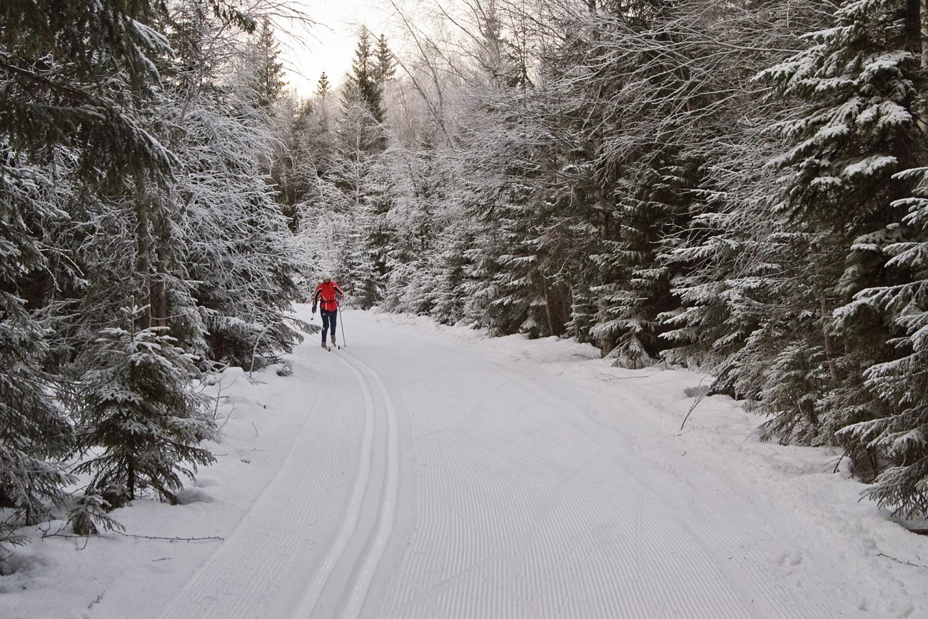 Rimete langs løypen