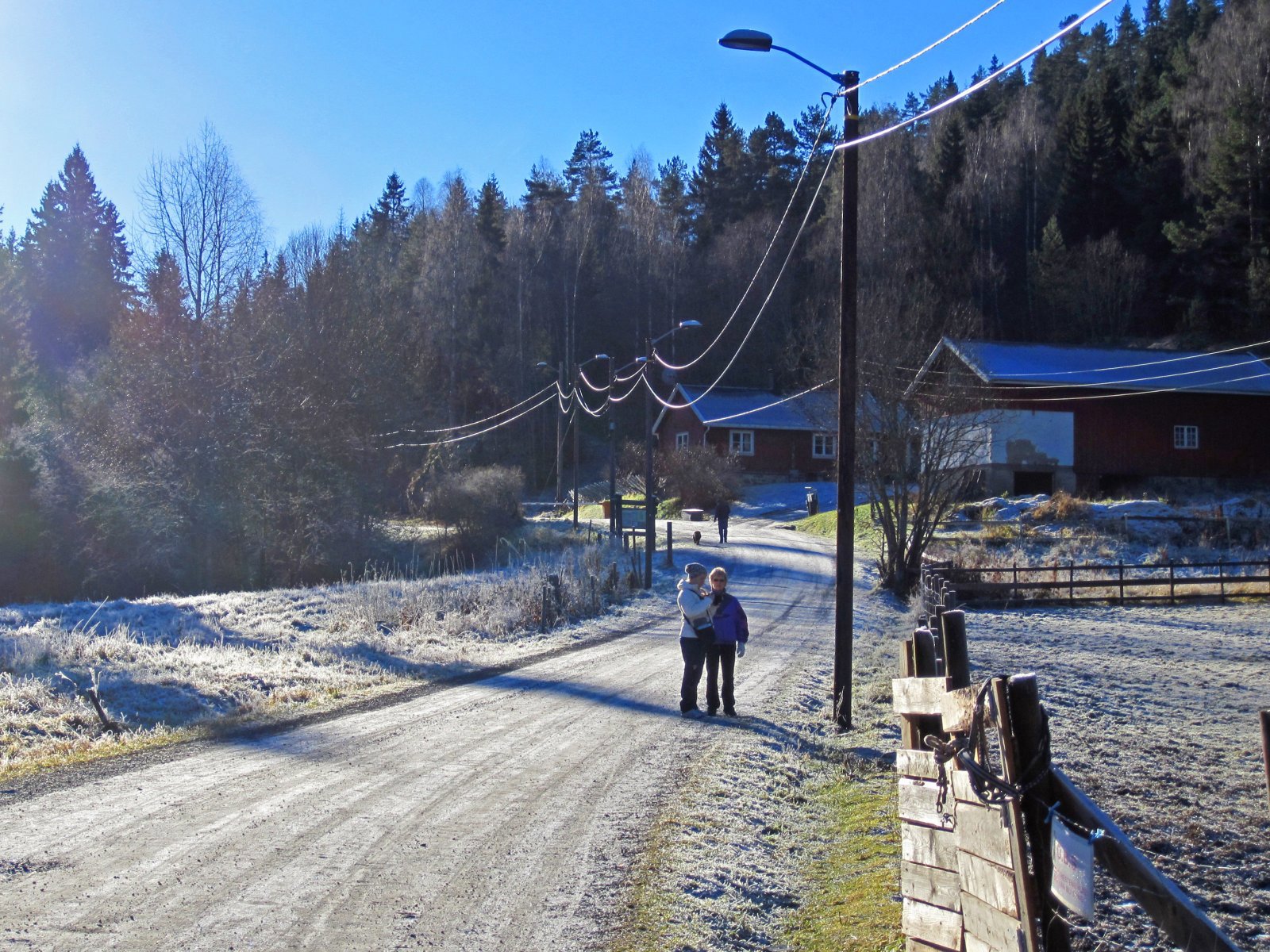 Rimfrost over Ellingsrud