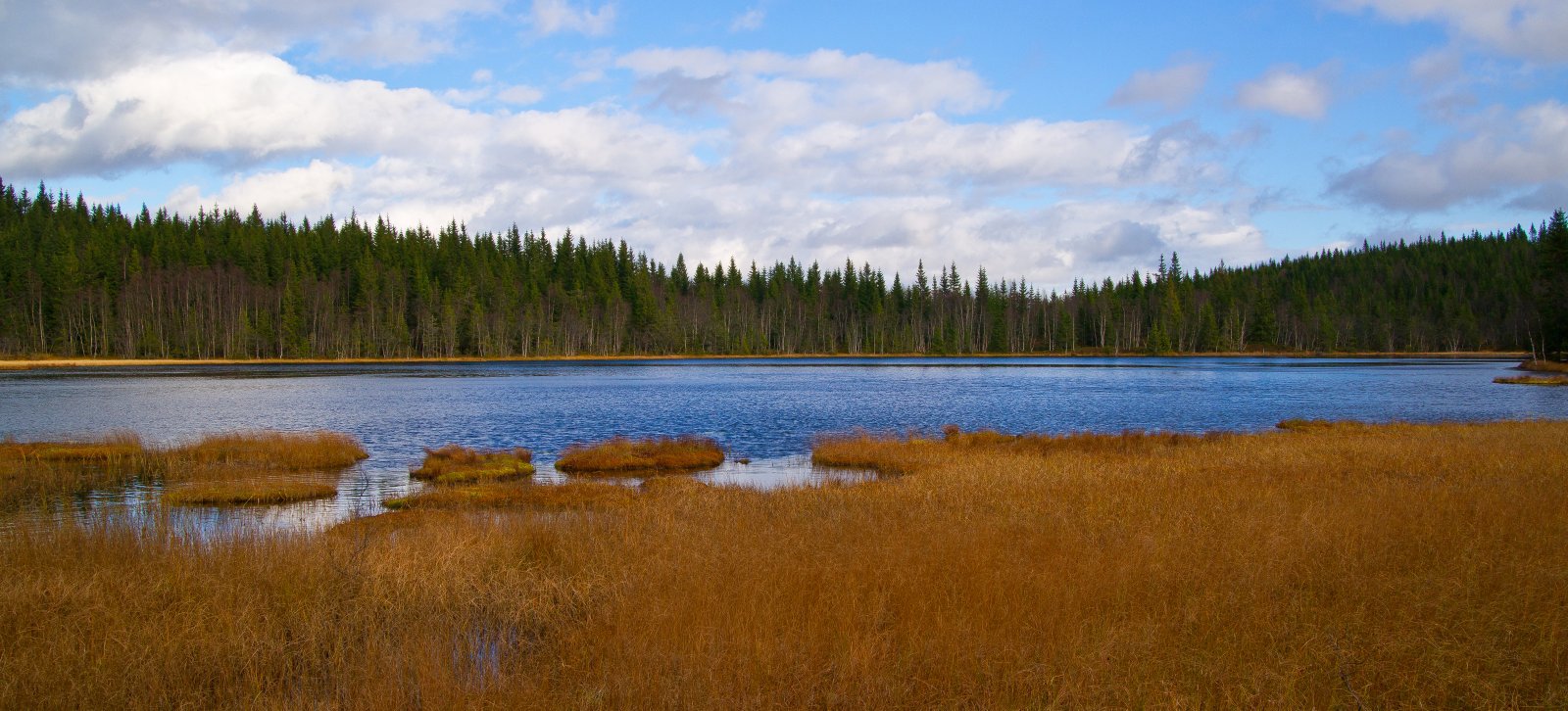 Røde myrtorv og blått vann