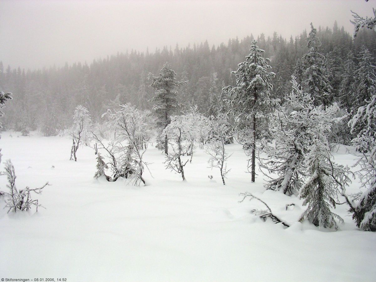 Rolig ved Rolighaugen