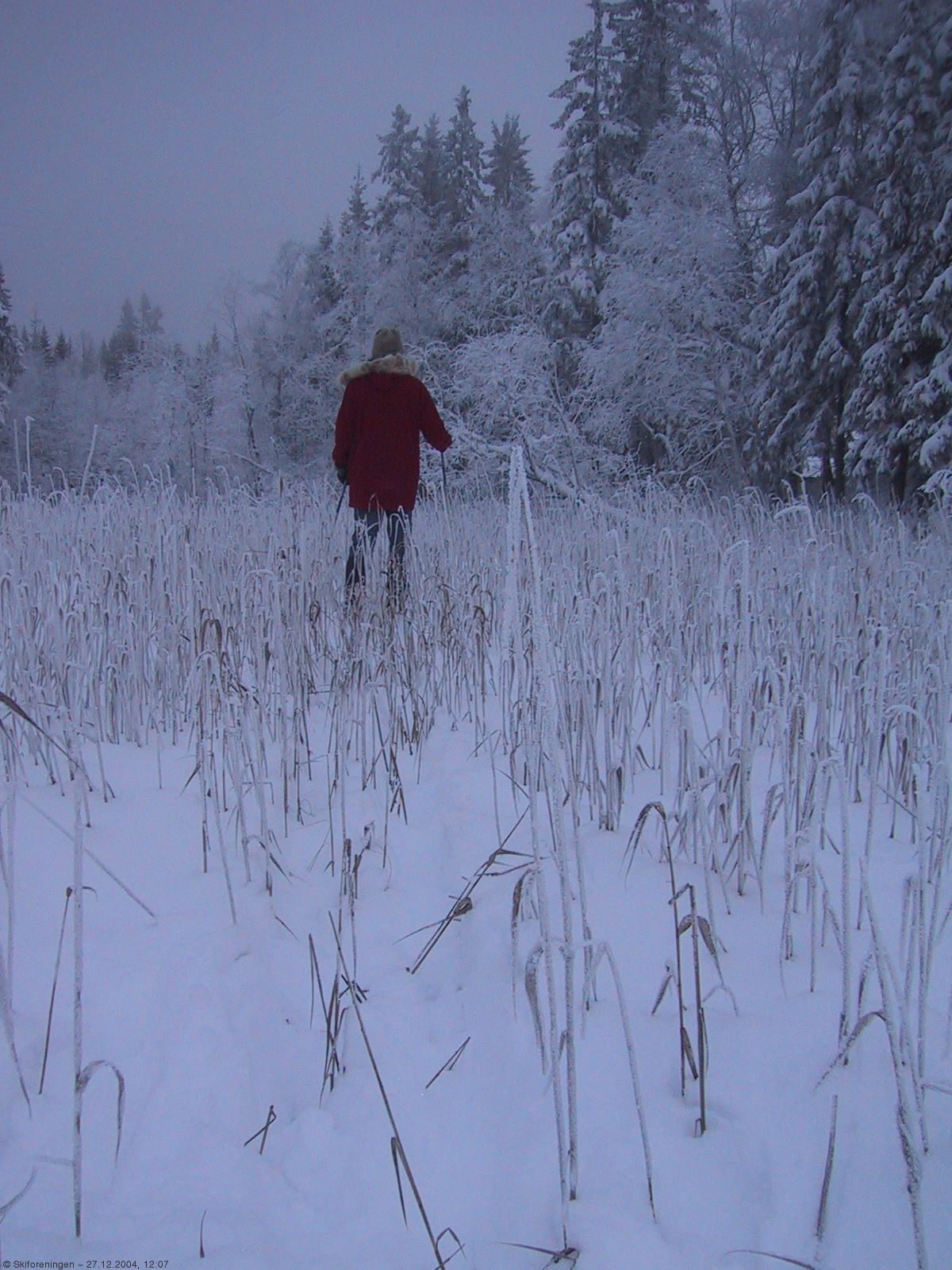 Romjulsstemning i Lillomarka