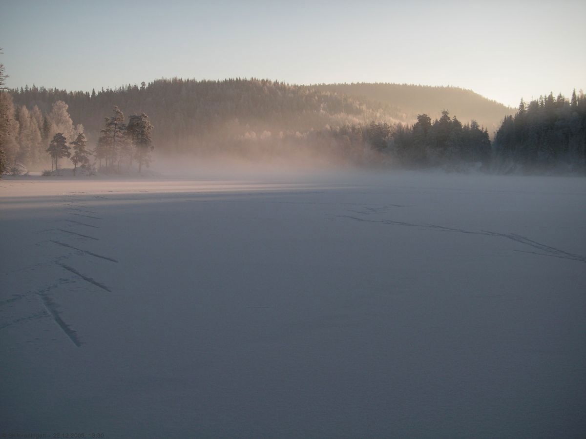 Røyrivann
