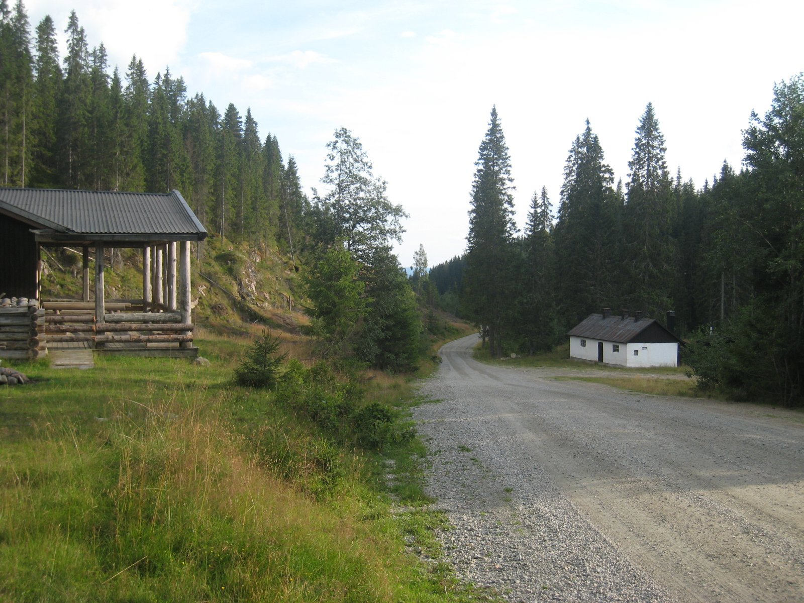 Røysivangen