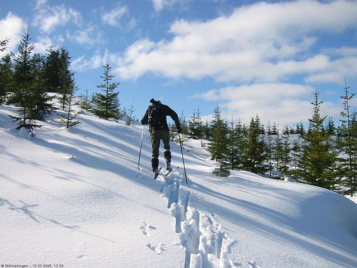 Sandbekkmana syd for Spålen